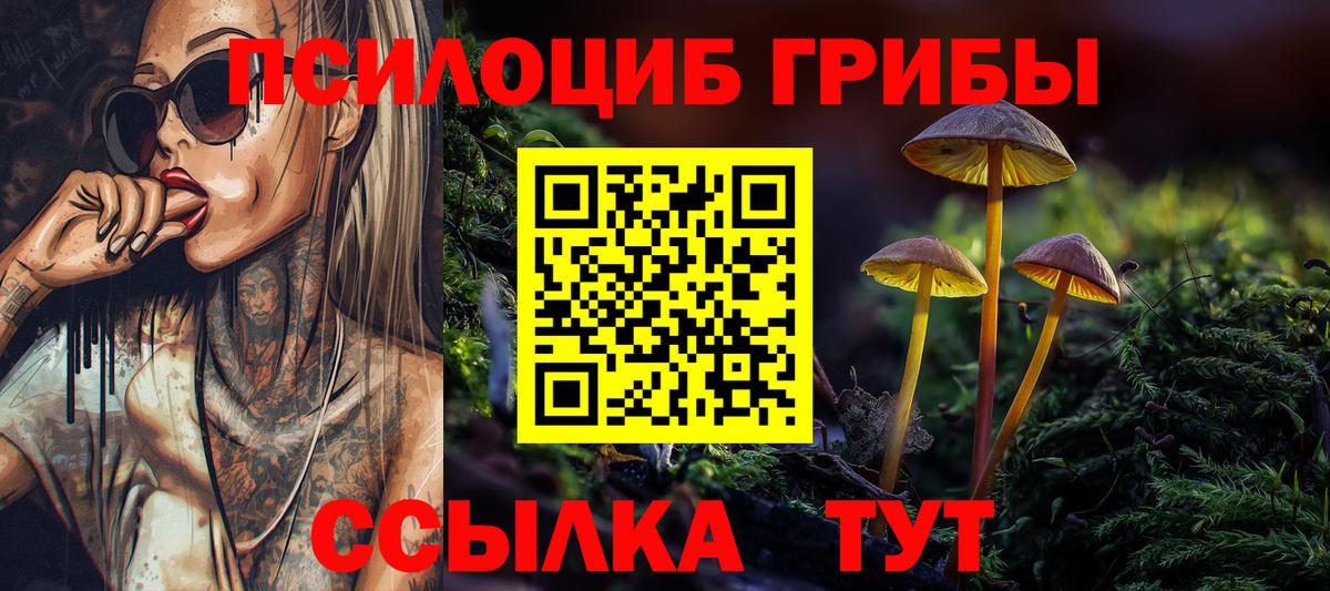 Псилоцибиновые грибы Psilocybine cubensis  Псилоцибиновые грибы Psilocybine cubensis  Элиста  где можно купить наркотик  Вход с VPN 