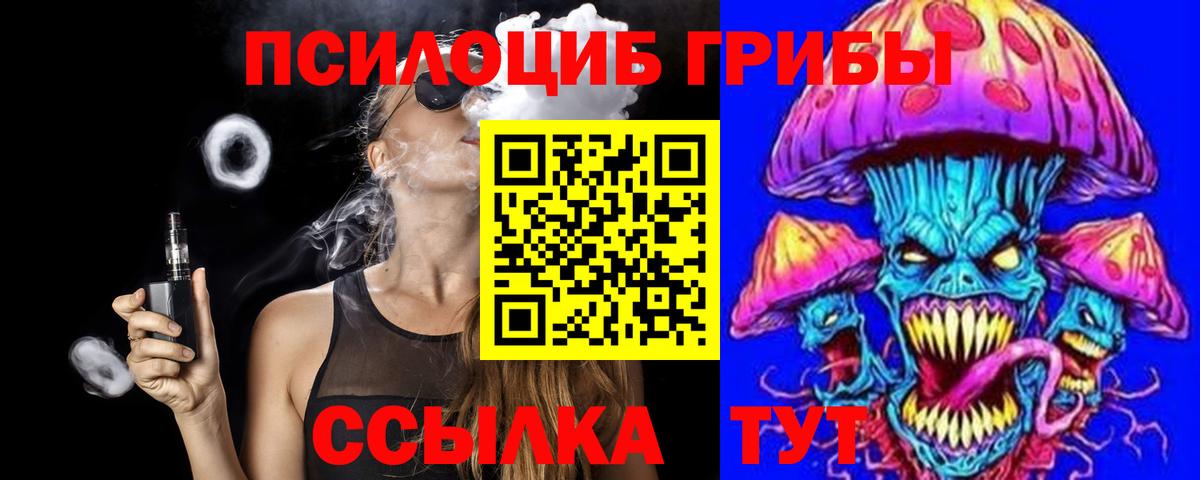 Псилоцибиновые грибы Psilocybine cubensis Элиста