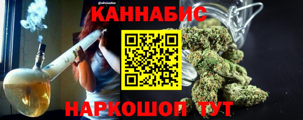 Бошки Шишки планчик Элиста