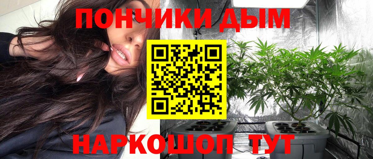 Элиста  Канабис LSD WEED  Вход с VPN  Бошки марихуана сатива  Шишки марихуана семена 